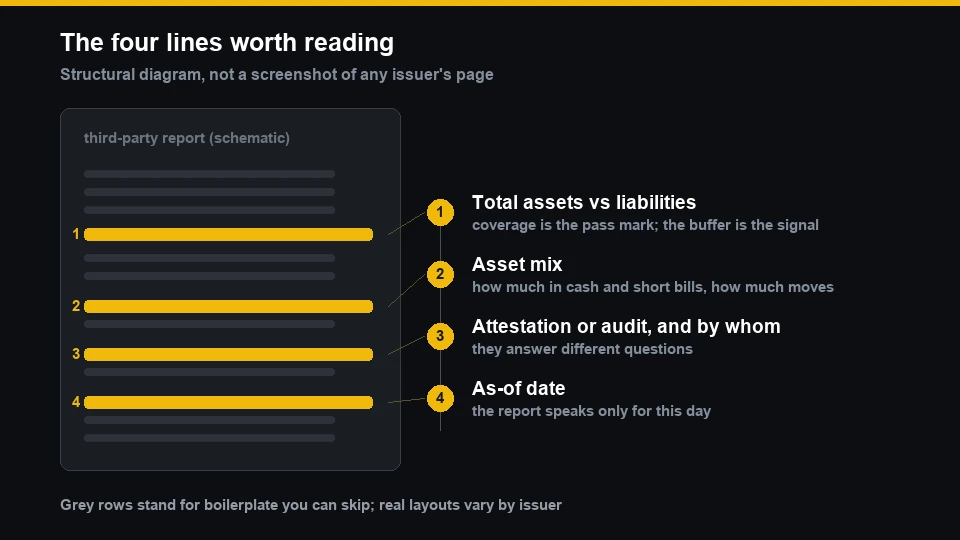 Diagram of the four fields to read in a stablecoin reserve report: coverage, asset mix, report type and issuing firm, and the as-of date